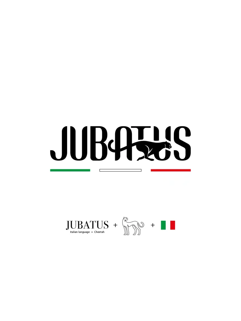 Jubatus Logo Story 3